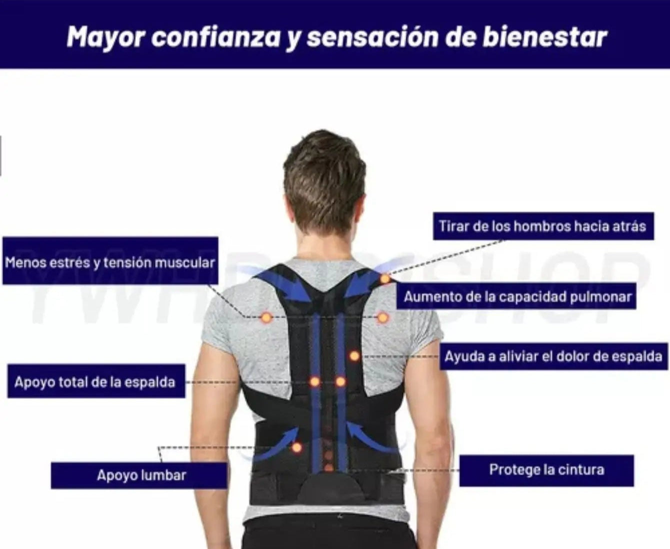Unisex adjustable posture corrector belt