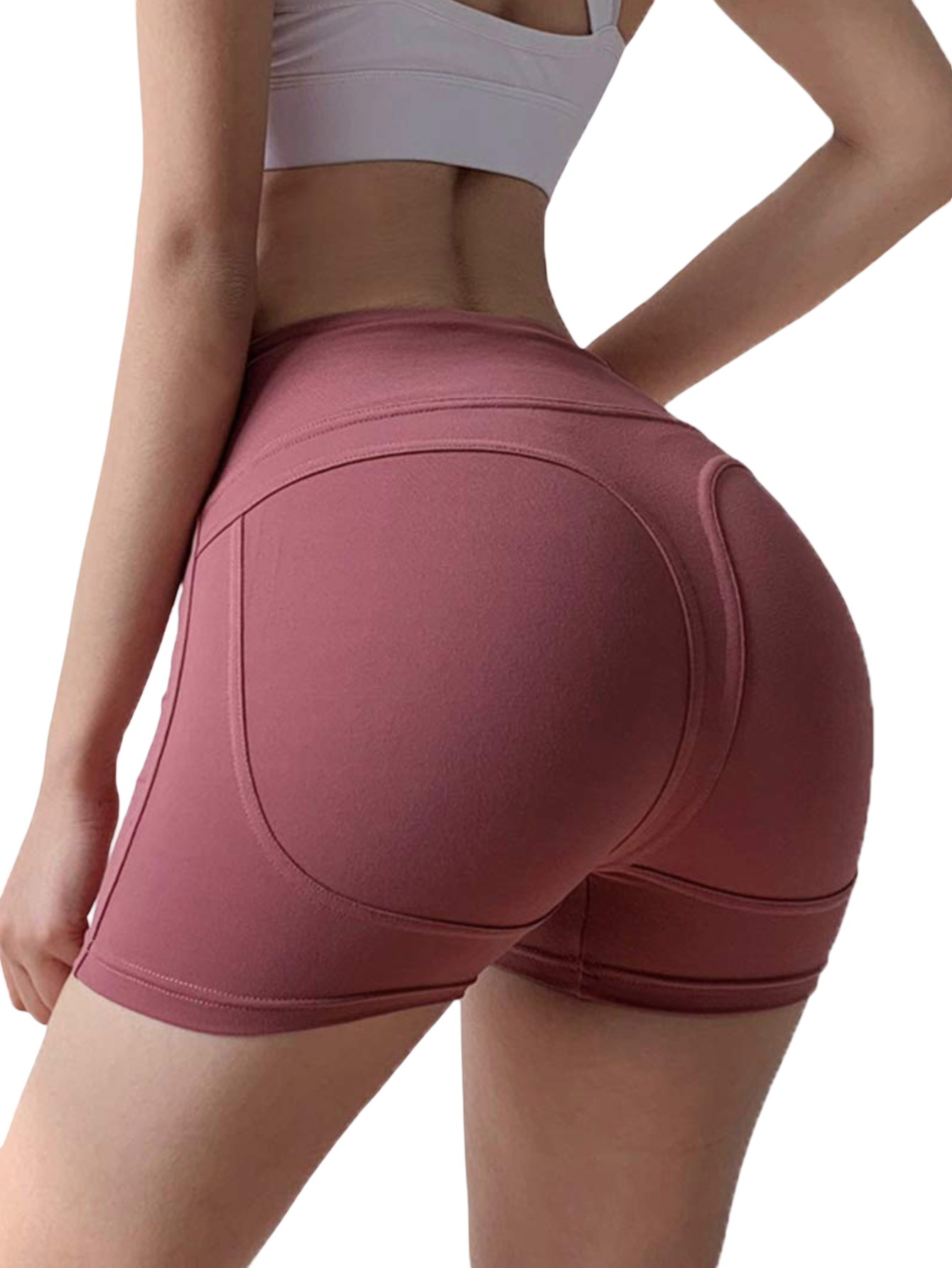 Sports Fitness Shorts
